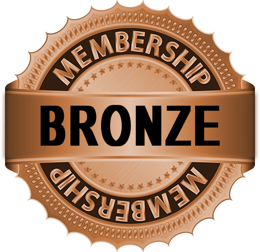 Bronze Annual Subscription